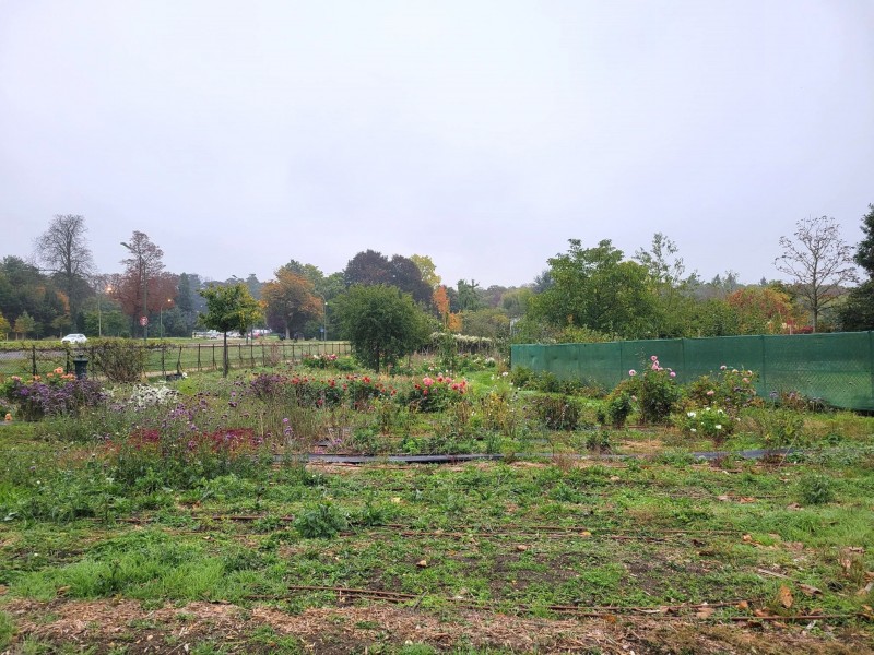 Moulin de Longchamp - Crédits : DEVE